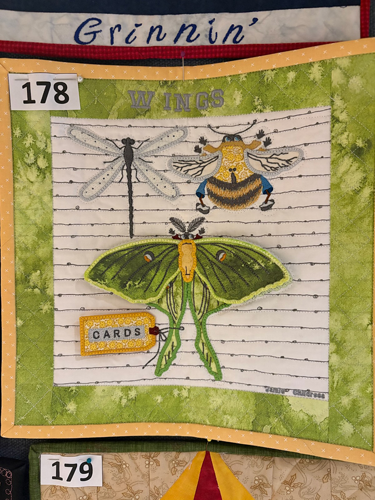 Photo by Mechele Arnold The Quilt Square Auction Viewer’s Choice was “Luna Moth” created by Jamie Childress of Calloway County. In 2025 there were 301 quilt squares displayed and auctioned to help offset the cost of hosting state meeting.